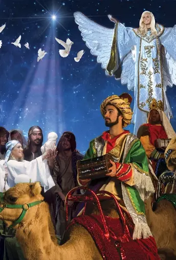 Dolly Parton's Stampede Christmas Show