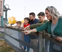 barnyard animals pigeon forge